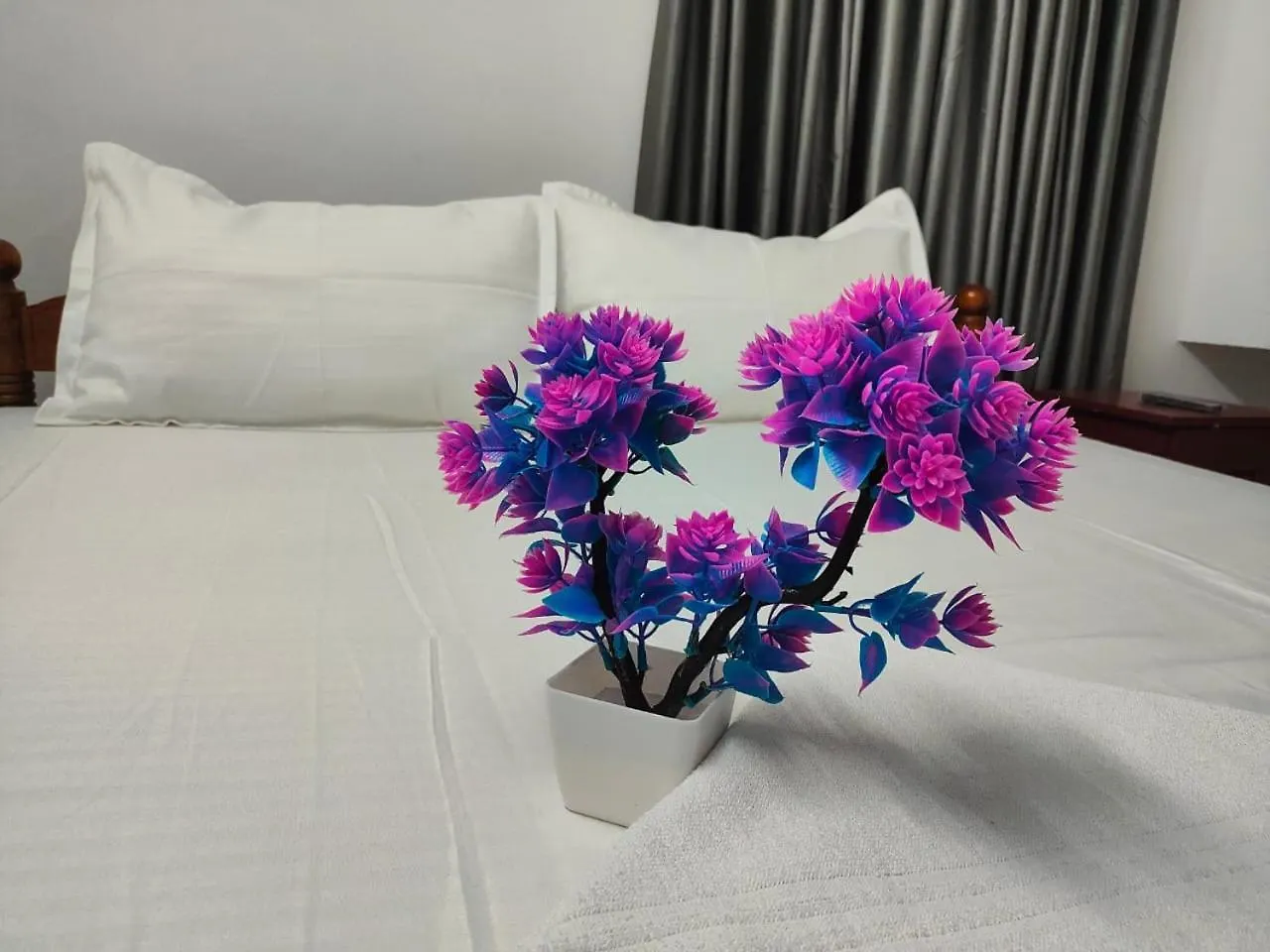 Rayz Inn Beach Resort Варкала Проживание в семье